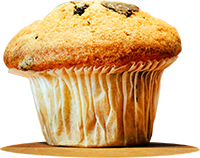 one chocolate chip muffin